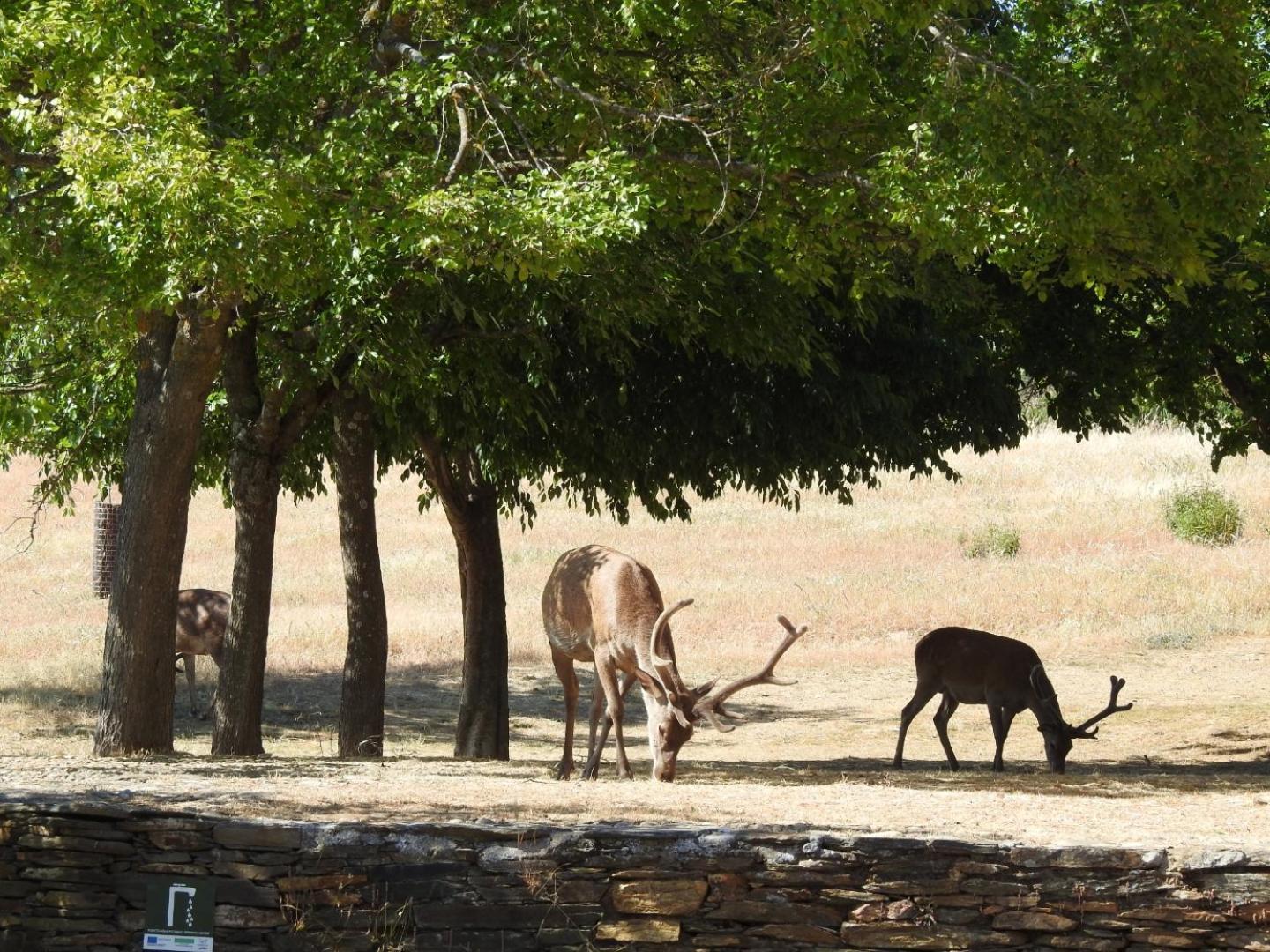 Monfraguee Country house Villarreal de San Carlos