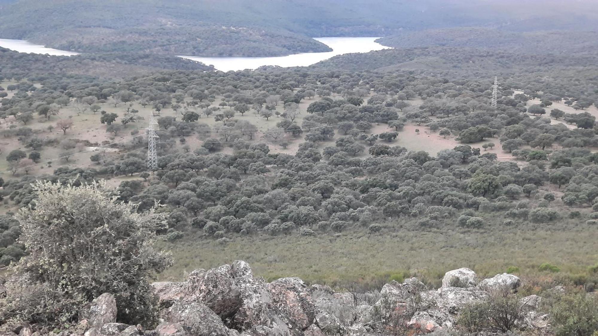Monfraguee Villarreal de San Carlos